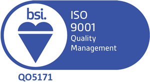 BSI iso 9001 logo