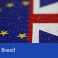 Brexit Risk Assessment and Statement